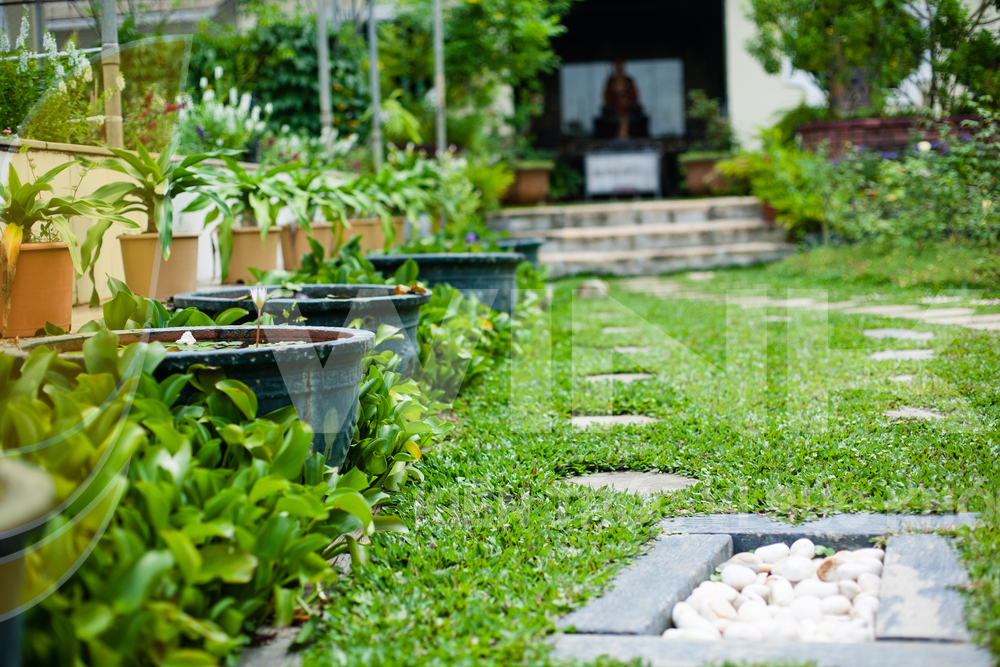  Cách phòng chống muỗi cho sân vườn